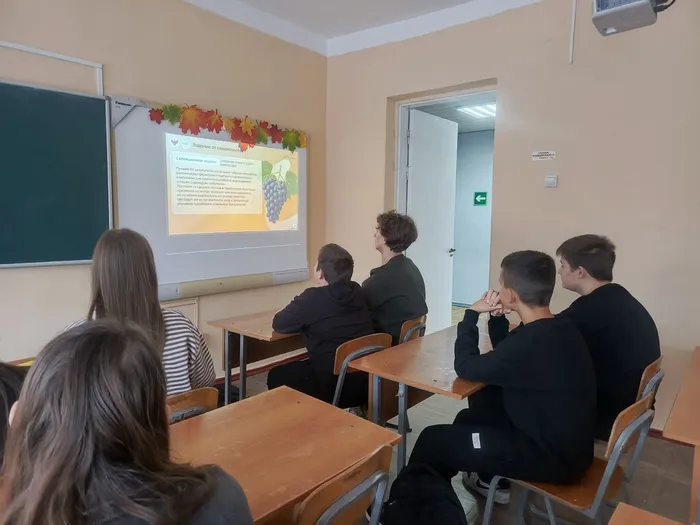 mKd2vbFDHVkZNqdWTwmzhp5ixW_ZRy1-pmz0yjXKSY4CVav6C67p73oPGy5CcXSdY1v9pW6sgig_az7w_o_YVzCC