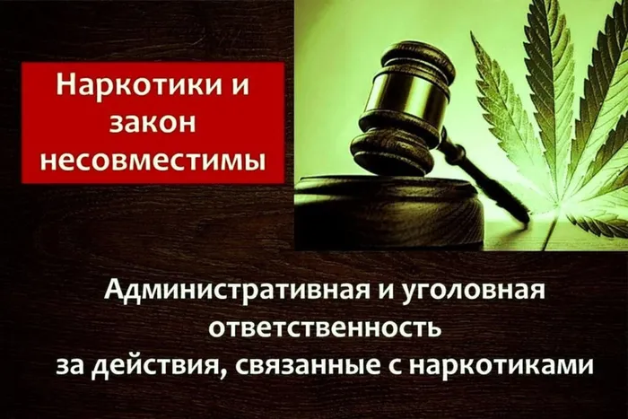 b7057c08c6ee949e6f92d8ee314bb562_XL